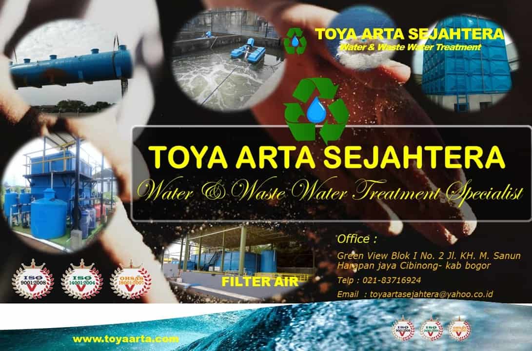 profil toya arta profil toya arta